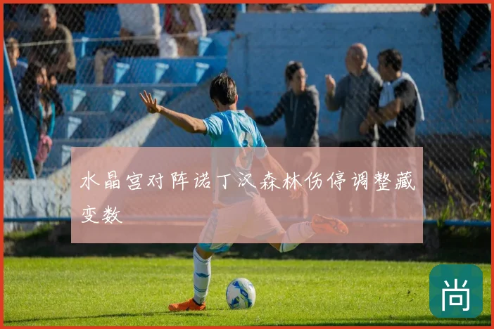 水晶宫对阵诺丁汉森林伤停调整藏变数